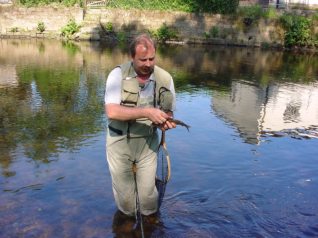 Fliegenfischen Niederlande